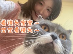 -Meowの猫咖(万家丽店)