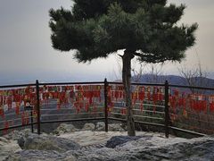 -香山公园