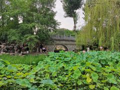 -莲湖公园