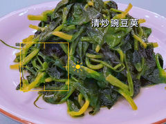 清炒豌豆尖-北塘海鲜·天津菜(大光明桥旗舰店)