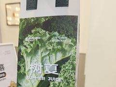 -树夏(鹭洲里店)