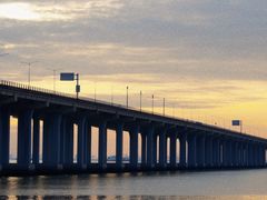 -宝安西湾红树林湿地公园