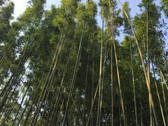 -福建鲤鱼洲酒店