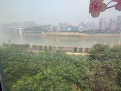 -李子坝梁山鸡(李子坝大鸡哥店)