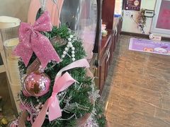 -宠爱国际动物医院·消化内科·心肾内科·ISFM猫友好(望京店)