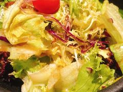 蔬菜沙拉-极炙烧肉