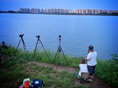 -丁香湖公园