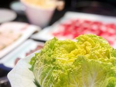 大白菜-狼爱上羊音乐火锅