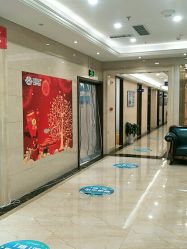 -碧莲盛·不剃发植发