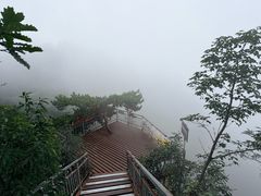 -六里坪国家森林公园