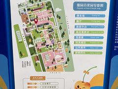 -菊园百果园