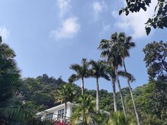 -深圳仙湖植物园