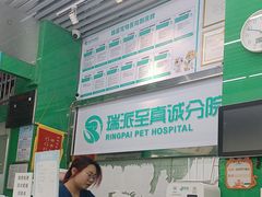 -瑞派动物医院·猫专科·至诚(江南中分院)