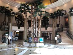 -圣爵菲斯大酒店(长沙世界之窗店)