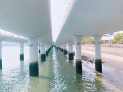 -演武大桥观景平台