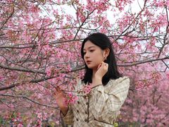 -天适樱花悠乐园