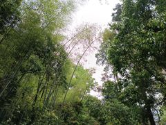 -雁荡山大龙湫景区