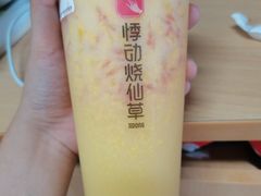 -悸动(吴泾宝龙广场店)