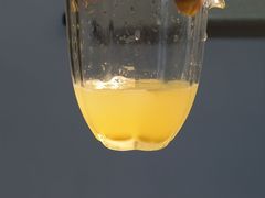 -诗宇时光茶艺书法古琴培训