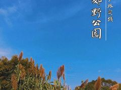 -上海长兴岛郊野公园
