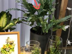 -丽达购物中心(崂山店)