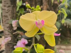 -石家庄市植物园