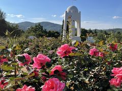-名花谷生态庄园