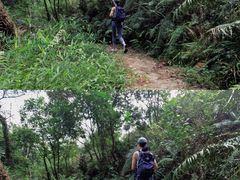 -风云岭森林公园