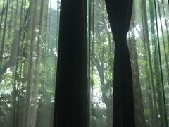 -浅深(世茂滨江精品店)