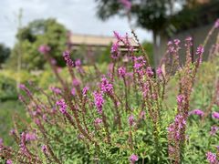 -张掖大佛寺景区
