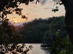 -深圳仙湖植物园