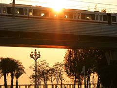 -宝安西湾红树林湿地公园