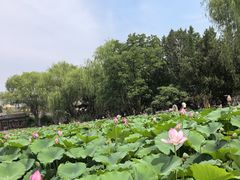 -莲池书院博物馆