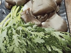 经典蔬菜拼盘-呷哺呷哺 黄金牧场 (回龙观港龙店)
