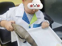 -神奇科学家STEAM科学实验科创赛事机器人编程逻辑思维MadScience(长宁来福士校区)