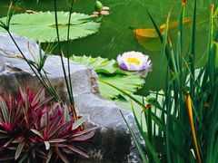 -云溪植物园