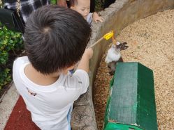 -造物庄园 萌宠纪(苏州湾歌林公园店)