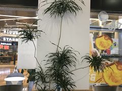 -Blueglass酸奶(财富购物中心店)