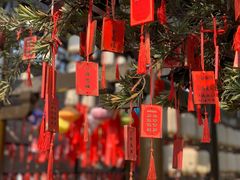 -尚湖风景区