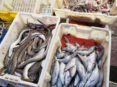 -芦潮港集贸市场