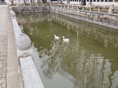 -苏州文庙(姑苏区)