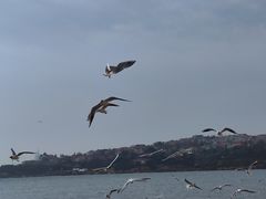 -青岛第一海水浴场
