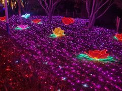 -青龙湖公园