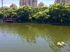 -前关湿地公园