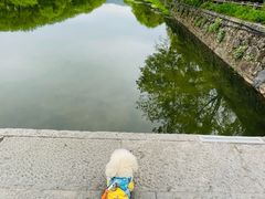 -西溪南古村落