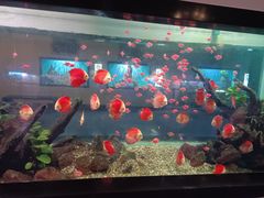 -海合安武汉极地海洋公园