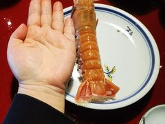 -万岛日本料理铁板烧(梅赛德斯奔驰店)