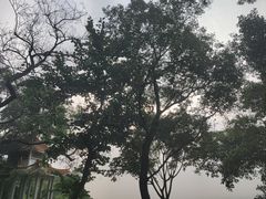 -广州市白云山风景名胜区