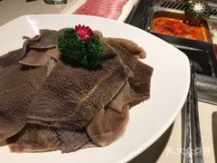 捞派毛肚-海底捞火锅(奥体南路店)