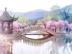 -石塘人家